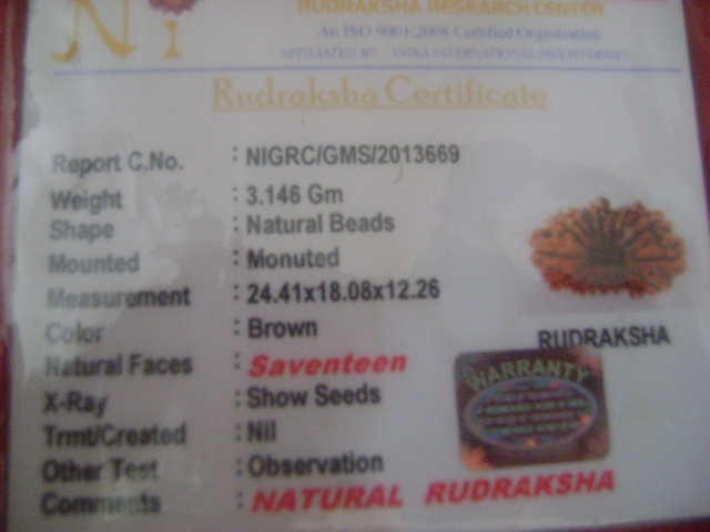 rudraksha lab